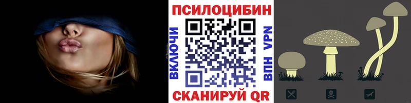 Галлюциногенные грибы Psilocybe  что такое   Благодарный 